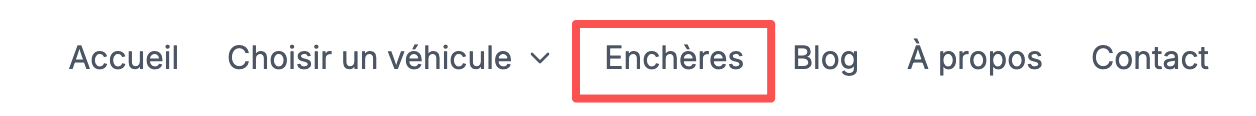 Ouvrez la rubrique des enchères depuis la navigation du site, puis sélectionnez un véhicule.