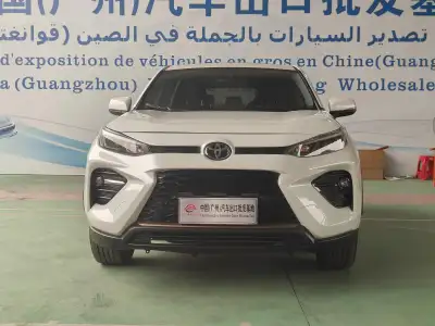 Toyota Wildlander 2.0L CVT两驱豪华PLUS版 thumbnail 2