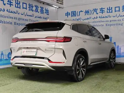 2024 BYD Song PLUS New Energy thumbnail 4