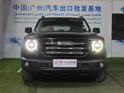 2023 Haval Big Dog thumbnail 2