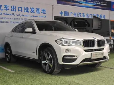 2015 BMW X6 thumbnail 3