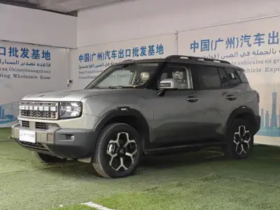 Jetour Shanhai T1 150 km