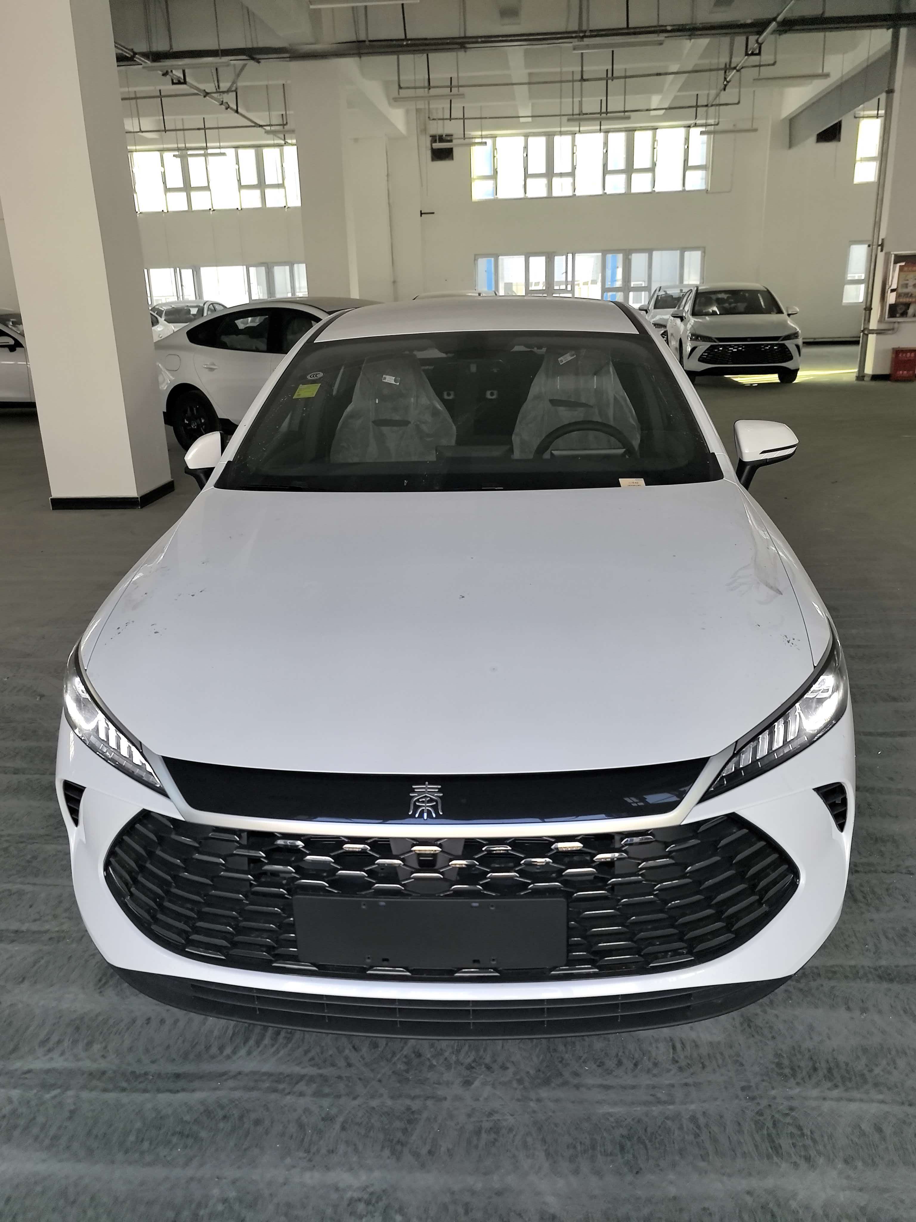 BYD Qin Plus Dm-i